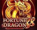 FORTUNE DRAGON 88 MC